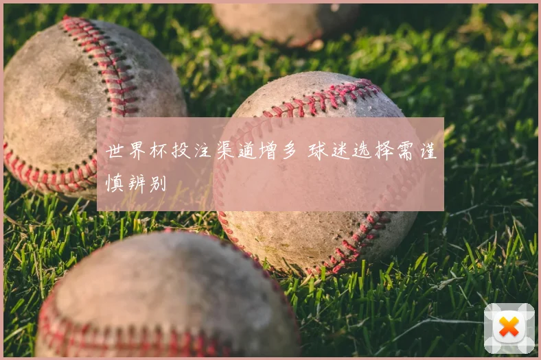 世界杯投注渠道增多 球迷选择需谨慎辨别