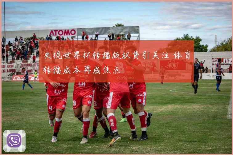 央视世界杯转播版权费引关注 体育转播成本再成焦点