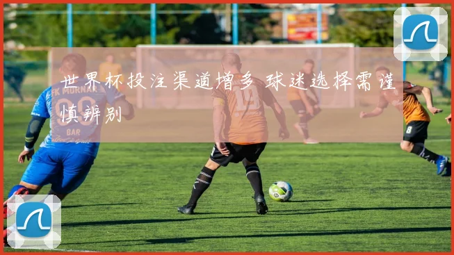 世界杯投注渠道增多 球迷选择需谨慎辨别