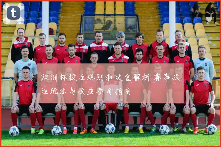 欧洲杯投注规则和奖金解析 赛事投注玩法与收益参考指南