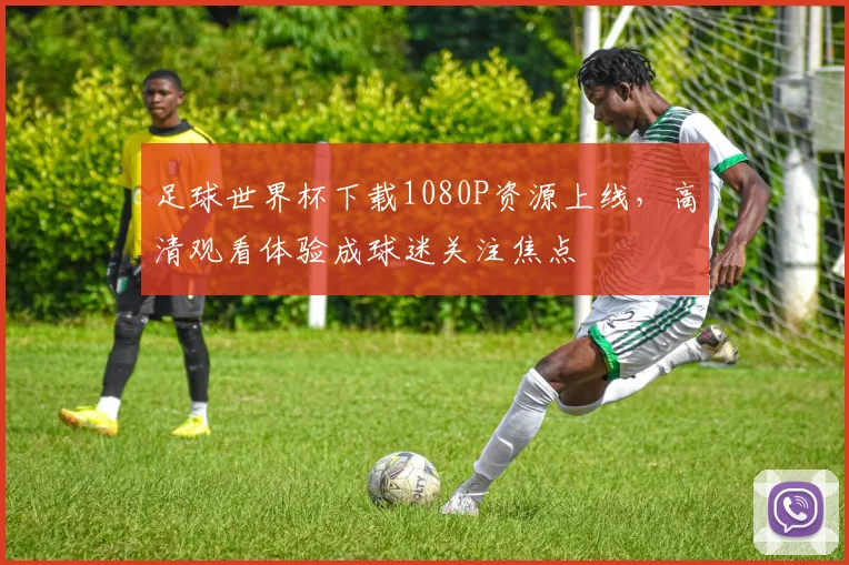 足球世界杯下载1080P资源上线，高清观看体验成球迷关注焦点