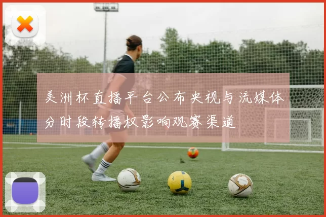 美洲杯直播平台公布央视与流媒体分时段转播权影响观赛渠道