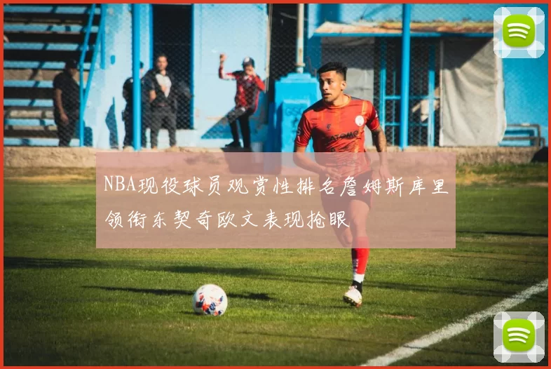 NBA现役球员观赏性排名詹姆斯库里领衔东契奇欧文表现抢眼