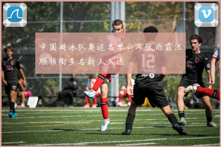 中国游泳队奥运名单公布张雨霏汪顺领衔多名新人入选