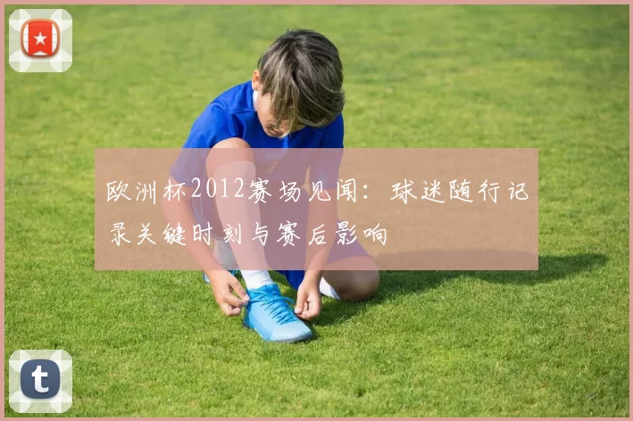 欧洲杯2012赛场见闻：球迷随行记录关键时刻与赛后影响