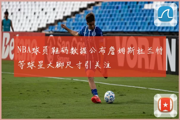 NBA球员鞋码数据公布詹姆斯杜兰特等球星大脚尺寸引关注