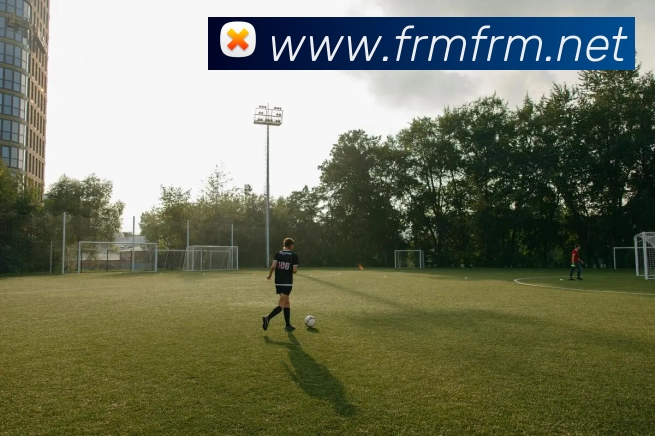 米乐网站网页版官网 - 米乐(中国)服务体系