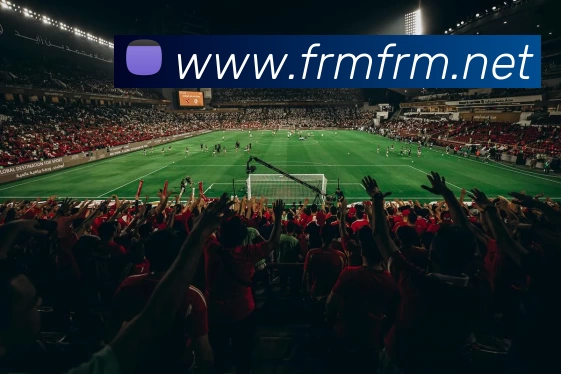 多媒体互动体验